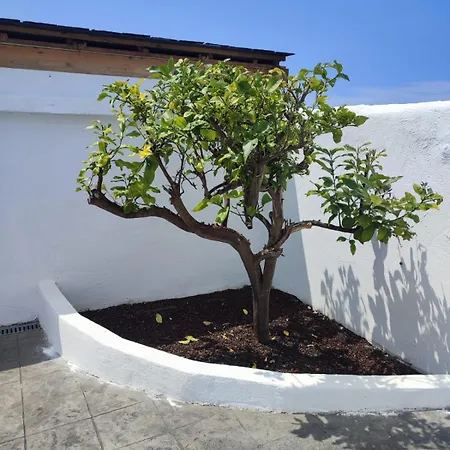 O Barco De Coto 別荘