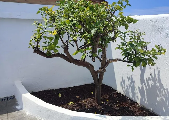 O Barco De Coto Σπίτι διακοπών