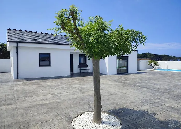 O Barco De Coto Barreiros